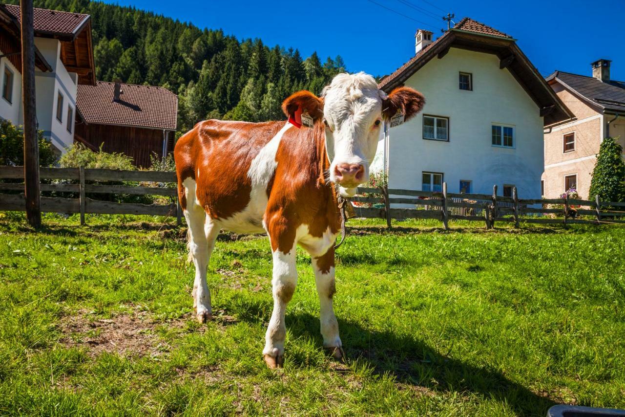 Grillhof-gut Farm stay Mauterndorf (Salzburg)
