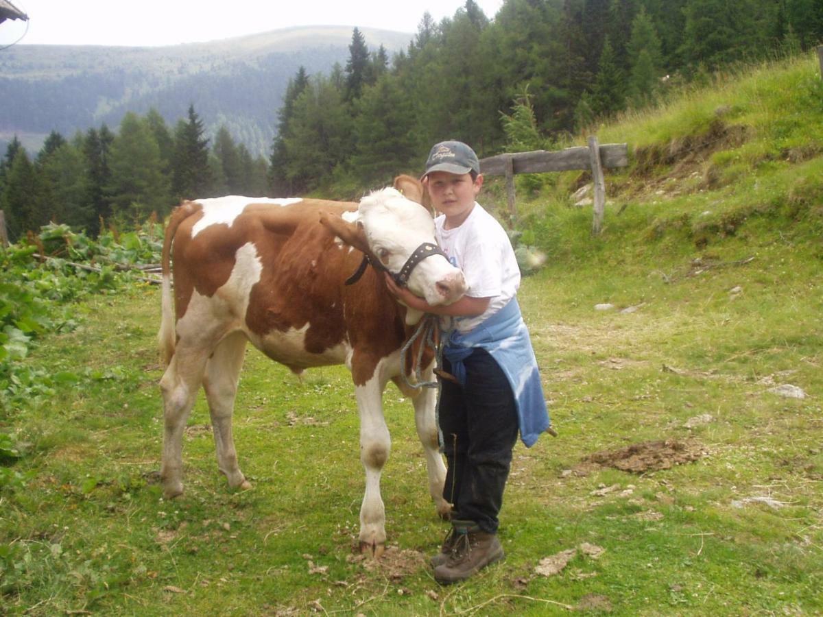 Farm stay Grillhof-gut Mauterndorf (Salzburg)
